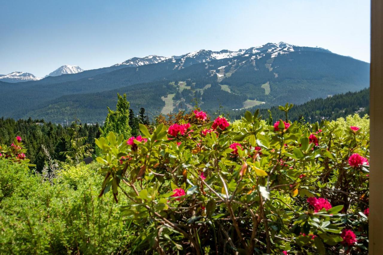 The Ironwood On Blueberry Hill Lägenhet Whistler Exteriör bild